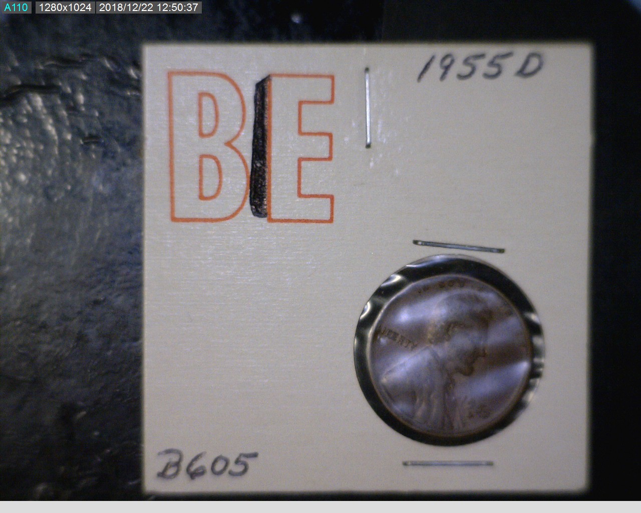 Margood-LWC-BIE-Error-Holder